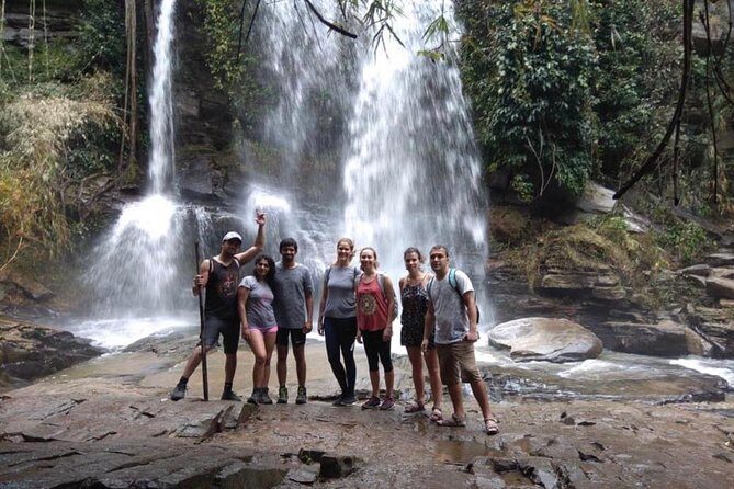 Doi Inthanon Day Trip:Twin Pagodas,Soft Hiking,Coffee Plantation - Who Should Consider This Tour?