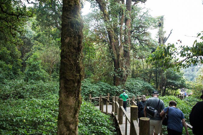 Doi Inthanon National Park Eco-Friendly Full Day Tour - Practical Tips