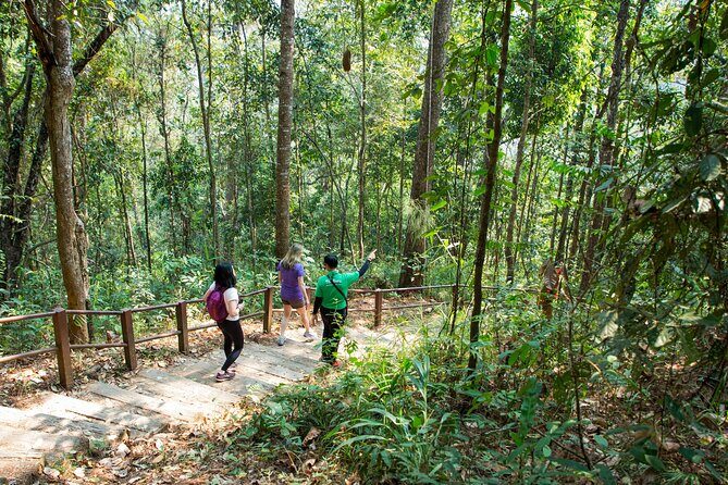Doi Inthanon National Park Eco-Friendly Full Day Tour - Who Will Love This Tour?