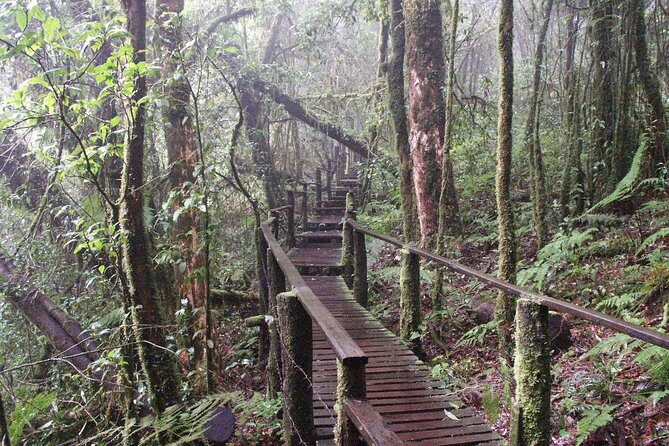 Doi Inthanon National Park - Thailand's Highest Peak - Exploring Doi Inthanon National Park: The Heart of the Experience