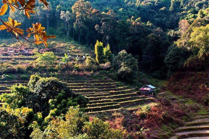 Doi Inthanon National Park, Waterfall & Royal Project Day Tour From Chiang Mai - Price and Value