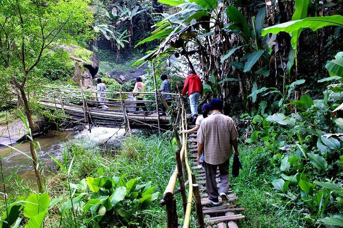 Doi Inthanon National Park, Waterfall & Royal Project Day Tour From Chiang Mai - Authentic Experiences and Traveler Perspectives