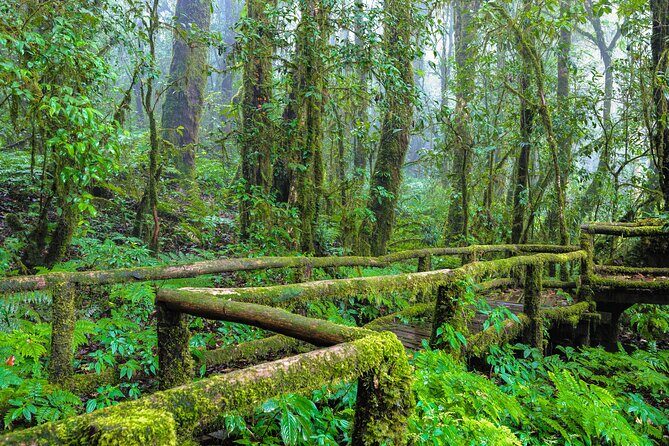 Doi Inthanon National Park, Waterfall & Royal Project Day Tour From Chiang Mai - Practical Tips for Travelers