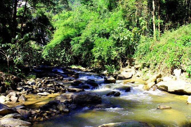 Doi Inthanon National Park, Waterfall & Royal Project Day Tour From Chiang Mai - The Sum Up: Who Is This Tour For?