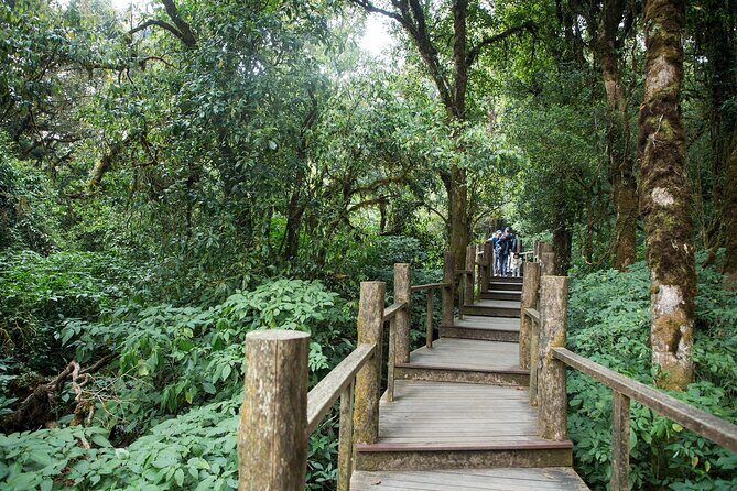 Doi Inthanon Summit Waterfalls and Hill Tribe Day Tour - A Detailed Look at the Itinerary
