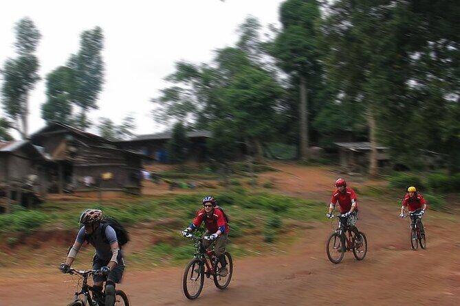 Doi Suthep National Park To Chiang Mai Beginner Downhill Mountain Biking - The Sum Up