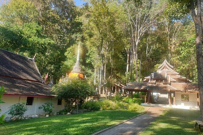 Doi Suthep Temple, Pha Lat Temple, Sticky Waterfall, Orchid farm - What Makes This Tour Stand Out?