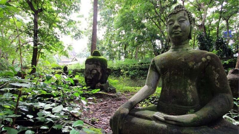 Doi Suthep & Wat Umong: Spiritual Tour from Chiang Mai - A Closer Look at the Tour Experience