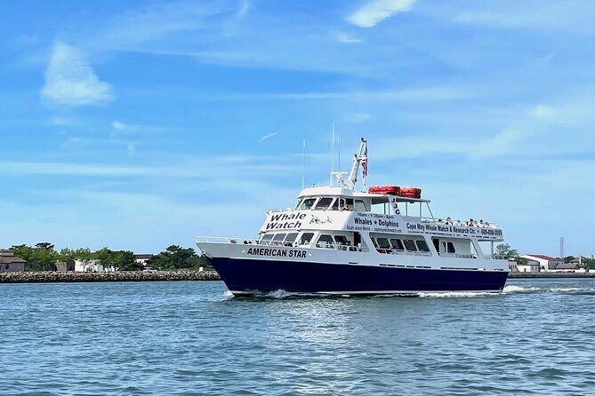 Dolphin and Bird Watching Ecotour Cruise - What Sets This Tour Apart