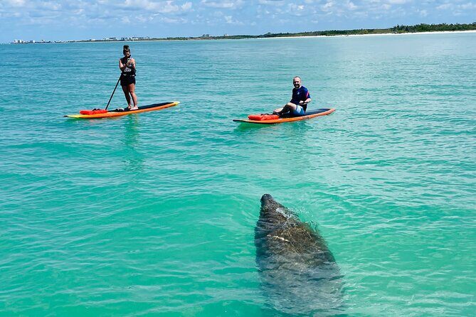 Dolphin and Manatee Adventure Tour of Fort Myers - Exploring the Experience in Detail