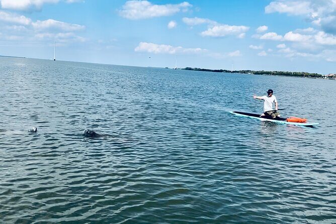 Dolphin and Manatee Adventure Tour of Merritt Island - Why This Tour Works for Travelers