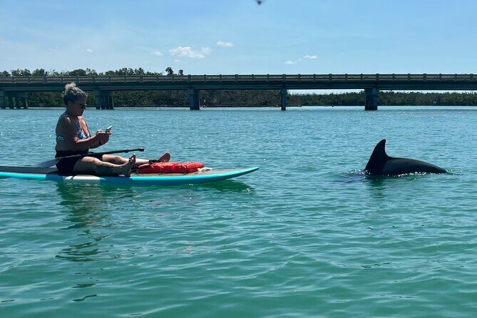 Dolphin and Manatee Adventure Tour of Naples with Florida History - What Makes This Tour Special