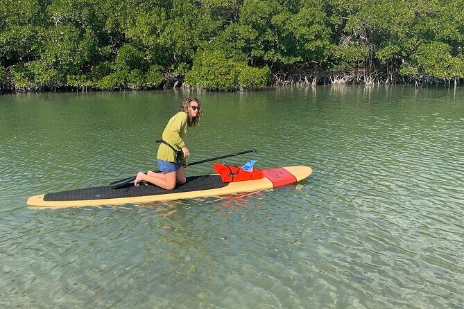 Dolphin and Manatee Adventure Tour of Naples with Florida History - The Value Proposition