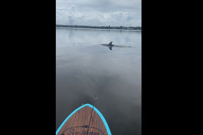 Dolphin and Manatee Adventure Tour of Naples with Florida History - Who Should Book This Tour?