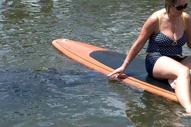 Dolphin and Manatee Adventure tour of Osprey with Florida History - The Experience: What to Expect on the Water