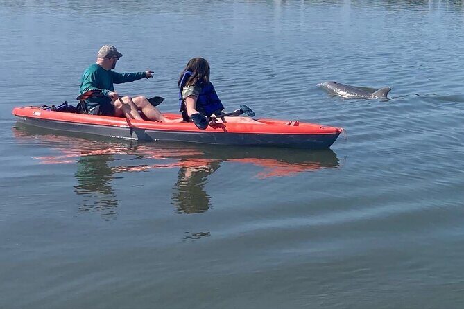 Dolphin and Manatee Adventure tour of Osprey with Florida History - The Real Value: Price and What You Get