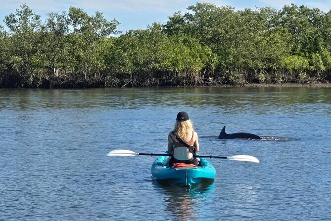 Dolphin and Manatee Adventure Tour of Sarasota with Olde Florida History! - Frequently Asked Questions