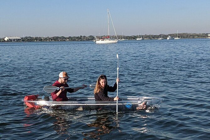 Dolphin and Manatee Clear Kayak or Paddleboard Tour - The Sum Up