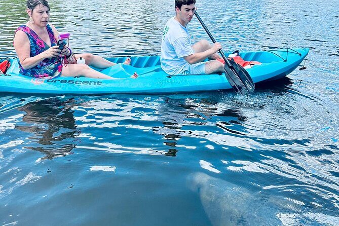Dolphin and Manatee Kayak and SUP Adventure Tour of Cocoa Beach - Key Points