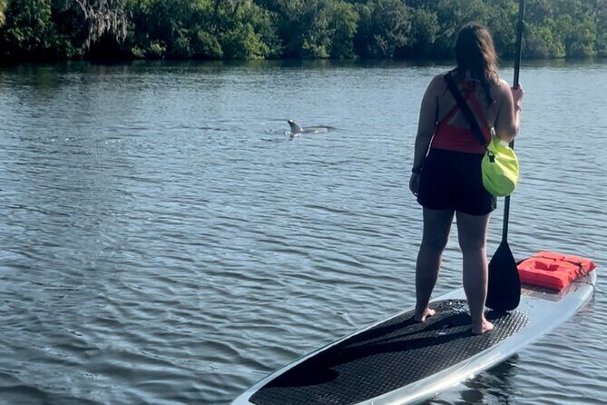 Dolphin and Manatee Kayak and SUP Adventure Tour of Cocoa Beach - An In-Depth Look at the Tour Experience
