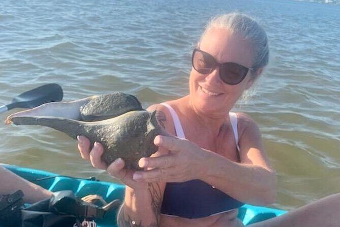 Dolphin and Manatee Kayak Tour of Daytona Beach - The Value of the Experience