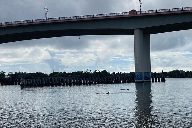 Dolphin and Manatee Stand Up Paddleboard Tour in Daytona Beach - What Makes This Tour Special?