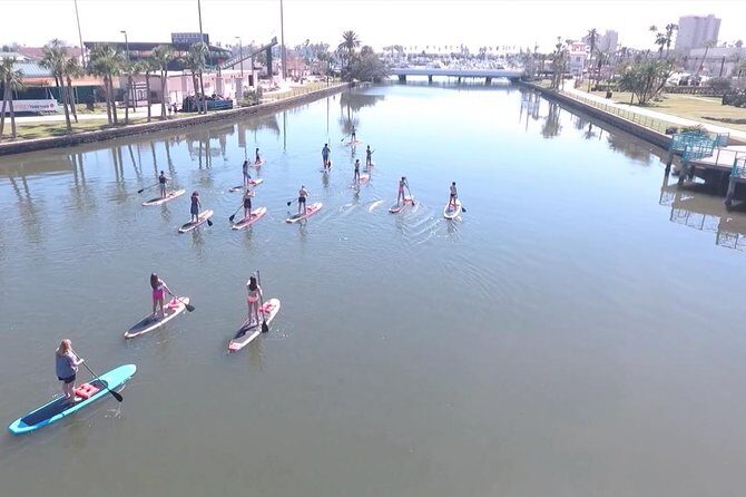 Dolphin and Manatee Stand Up Paddleboard Tour in Daytona Beach - Final Thoughts: Is This Tour Right for You?