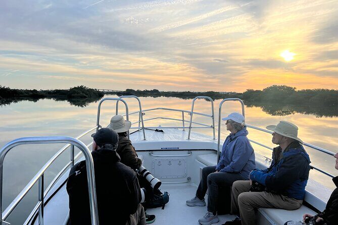 Dolphin and Nature Boat Excursion - The Scenic Route: What You’ll See and Experience