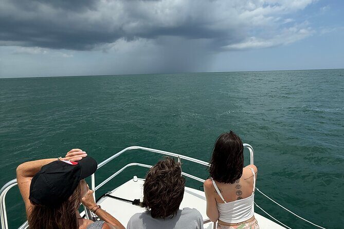 Dolphin and Nature Boat Excursion - The Sum Up