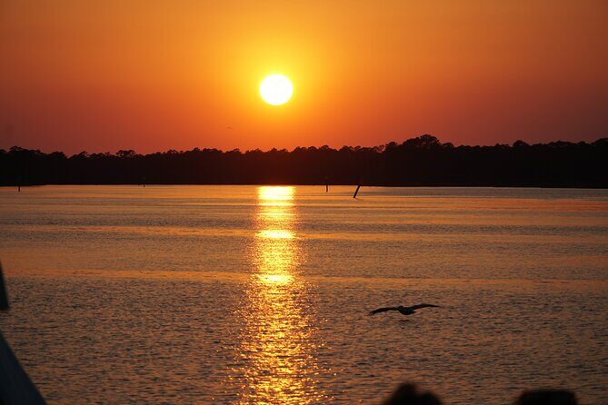 Dolphin and Nature Sunset Cruise from Orange Beach - Key Points