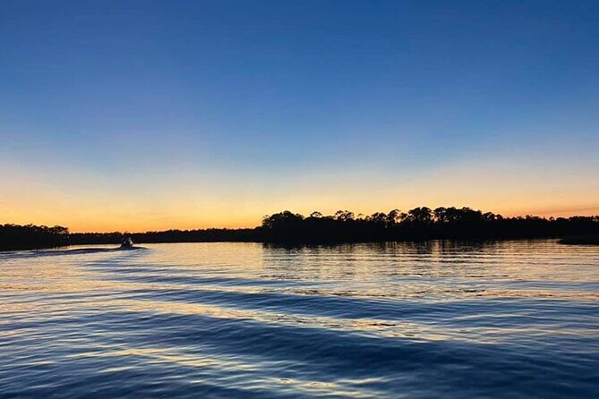Dolphin and Nature Sunset Cruise from Orange Beach - An In-Depth Look at the Experience