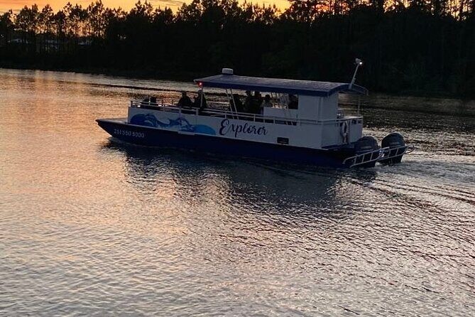 Dolphin and Nature Sunset Cruise from Orange Beach - Final Words: Is It Worth It?