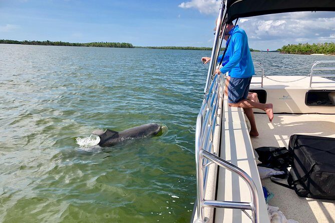 Dolphin and Shelling Cruise for up to 12 people - FAQs