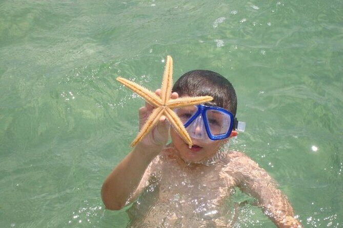 Dolphin and Snorkeling Activity in Panama City Florida - FAQ