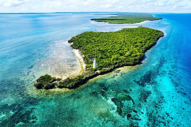 Dolphin and Tumbatu Island Snorkeling Tour with Pickup - Starting Point and Practicalities