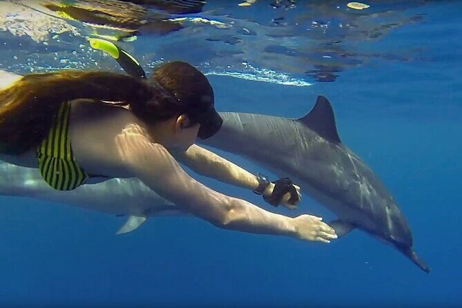 Dolphin and Tumbatu Island Snorkeling Tour with Pickup - The Experience From the Reviews