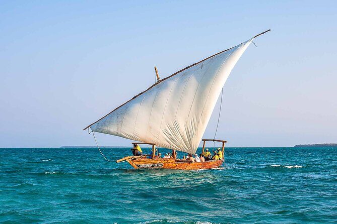 Dolphin and Turtle Tour with Sunset Cruise at Nungwi Beach - An In-Depth Look at the Tour Experience