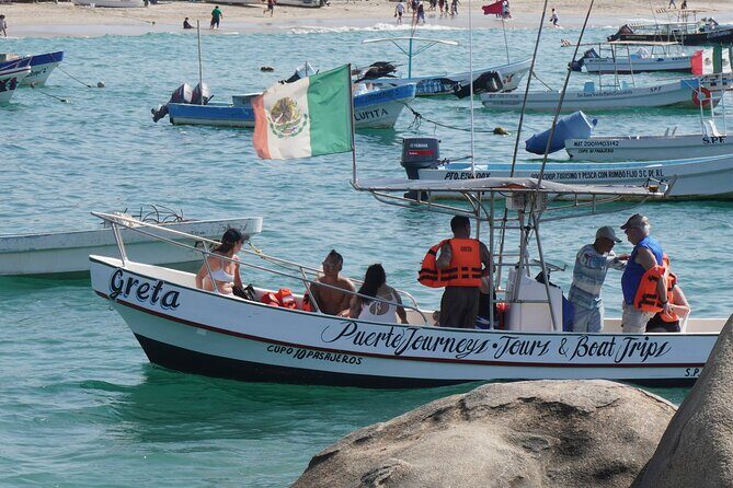 Dolphin and Whale Watching Boat Trip in Puerto Escondido - An In-Depth Look at the Tour Experience