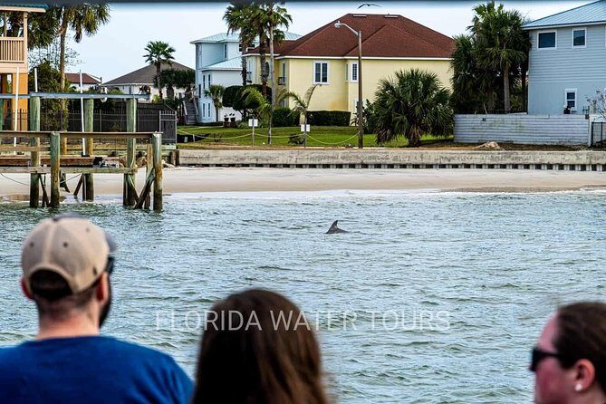 Dolphin and Wildlife Adventure of St. Augustine - Authentic Traveler Perspectives
