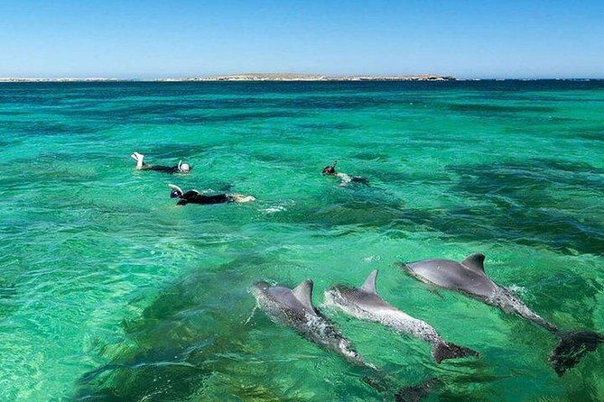 Dolphin Encounters, Ile aux Benitier & Crystal rock: Full-Day (Lunch & Transfer) - The Itinerary: A Closer Look