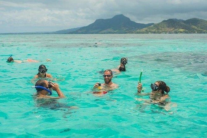 Dolphin Encounters, Ile aux Benitier & Crystal rock: Full-Day (Lunch & Transfer) - The Value and Overall Experience