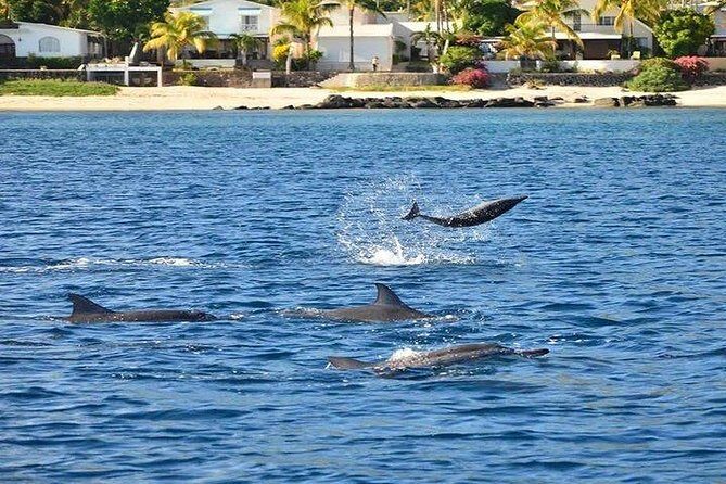 Dolphin Encounters, Ile aux Benitier & Crystal rock: Full-Day (Lunch & Transfer) - The Sum Up