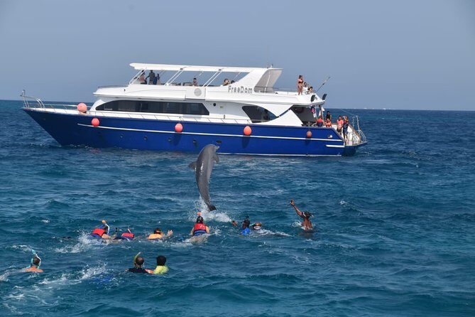 Dolphin House and Banana Boat Fun from Hurghada - A Deep Dive into the Red Sea Adventure