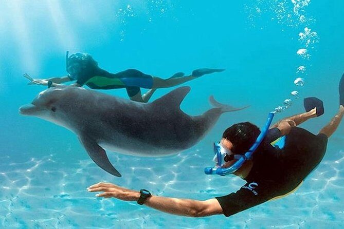 Dolphin House By Private Speed Boat & Drinks & Transfer-Hurghada - Introduction: A Closer Look at the Dolphin House Private Speedboat Tour