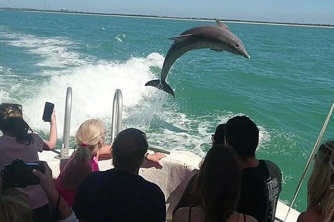 Dolphin House By Private Speed Boat & Drinks & Transfer-Hurghada - Key Points
