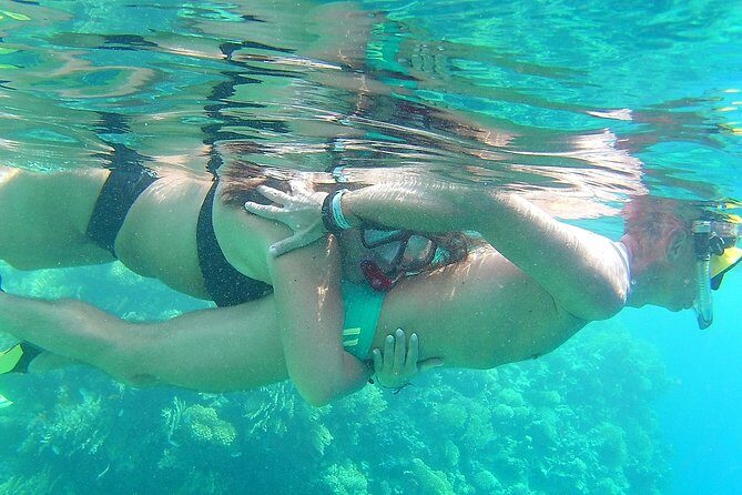 Dolphin House Royal VIP Special Day Snorkeling Sea Trip With Lunch - Hurghada - Who Will Love This Trip?