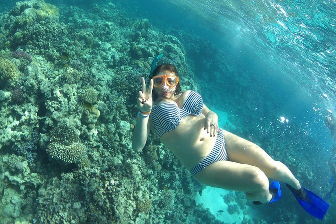 Dolphin House Sea Trip with Snorkeling Adventure - Marsa Alam - The Value of the Tour