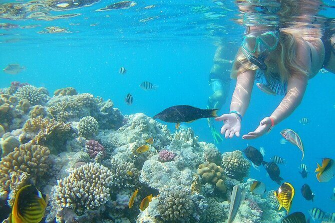 Dolphin House Sea Trip with Water Sport and Lunch - FAQ