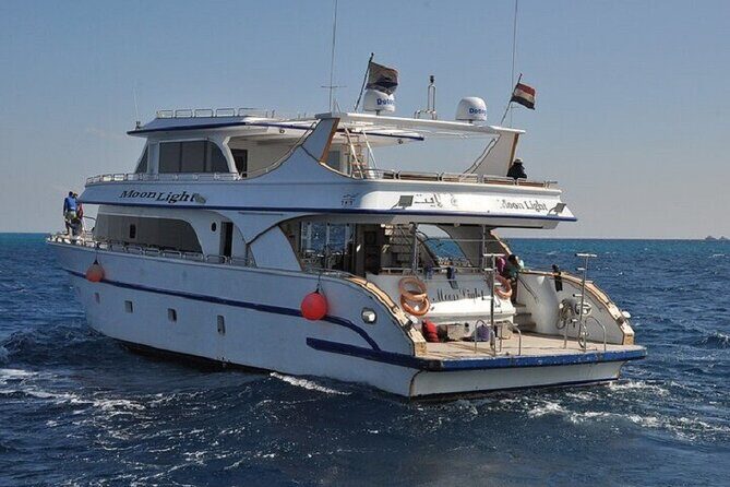 Dolphin House Snorkeling Sea Trip, Water Sport , Lunch - Hurghada - Setting the Scene: What to Expect
