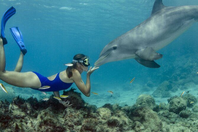 Dolphin House Snorkeling Trip & Water Sports with Lunch -Hurghada - Key Points